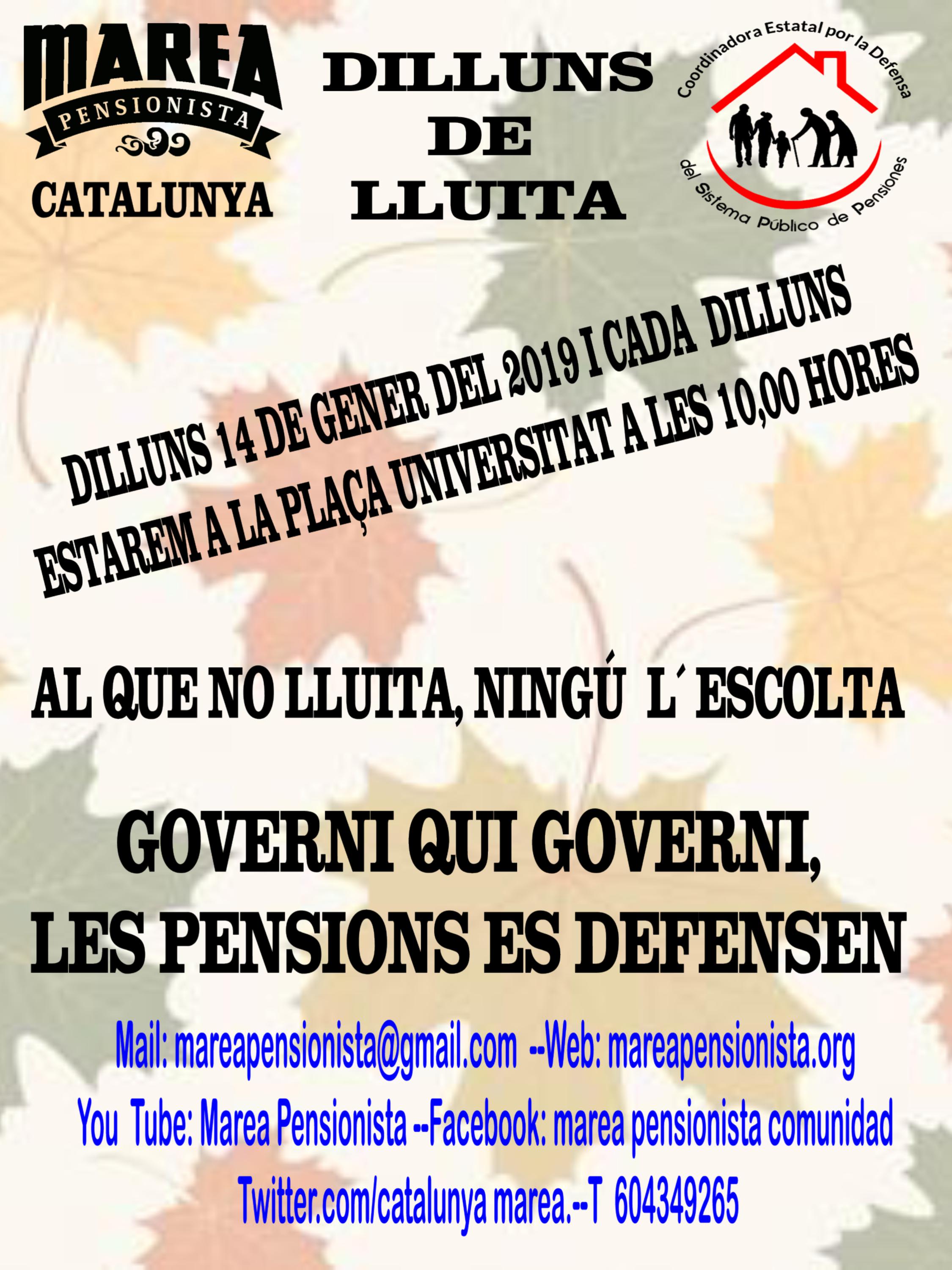 Concentracions de la Marea Pensionista “Dilluns de lluita” a la plaça Universitat