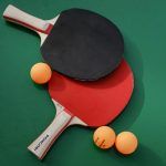 VOLS VENIR A JUGAR A PING PONG?